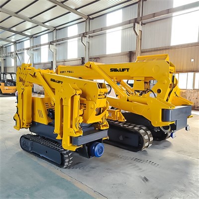 Pásový pavúčí žeriav